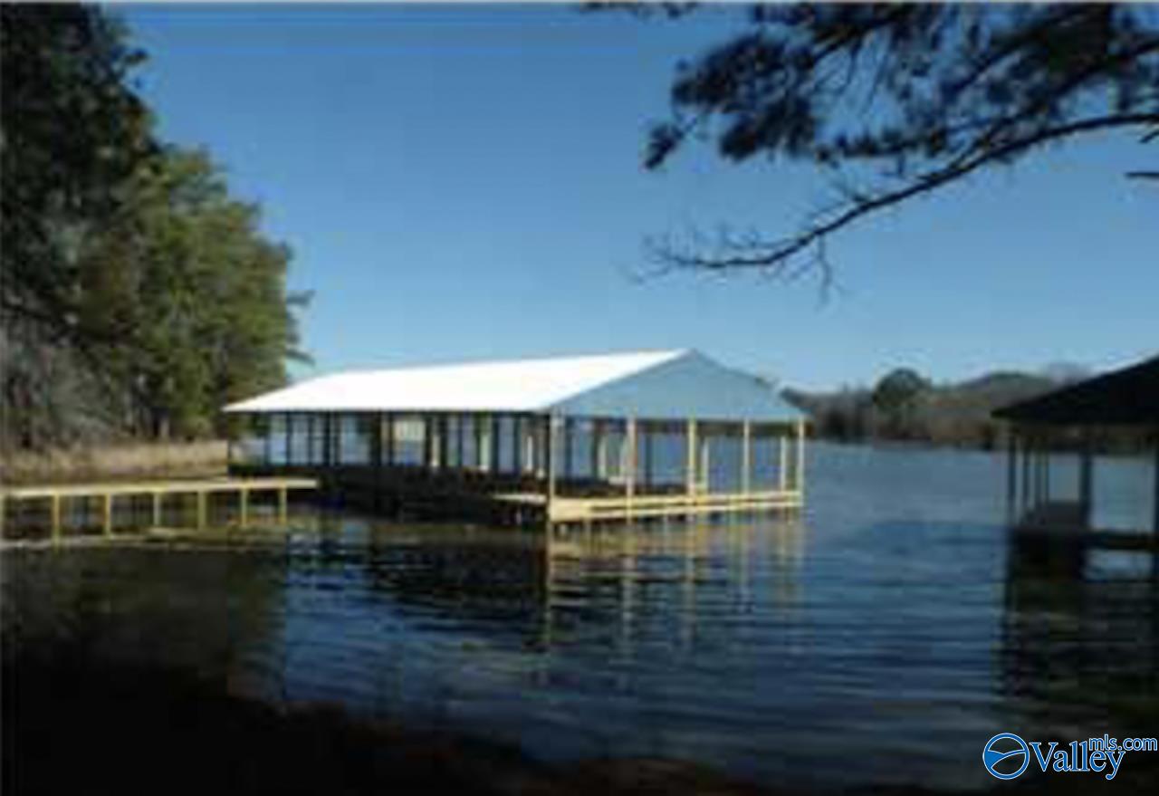 630 John Cabaniss Road, Langston, Alabama image 5