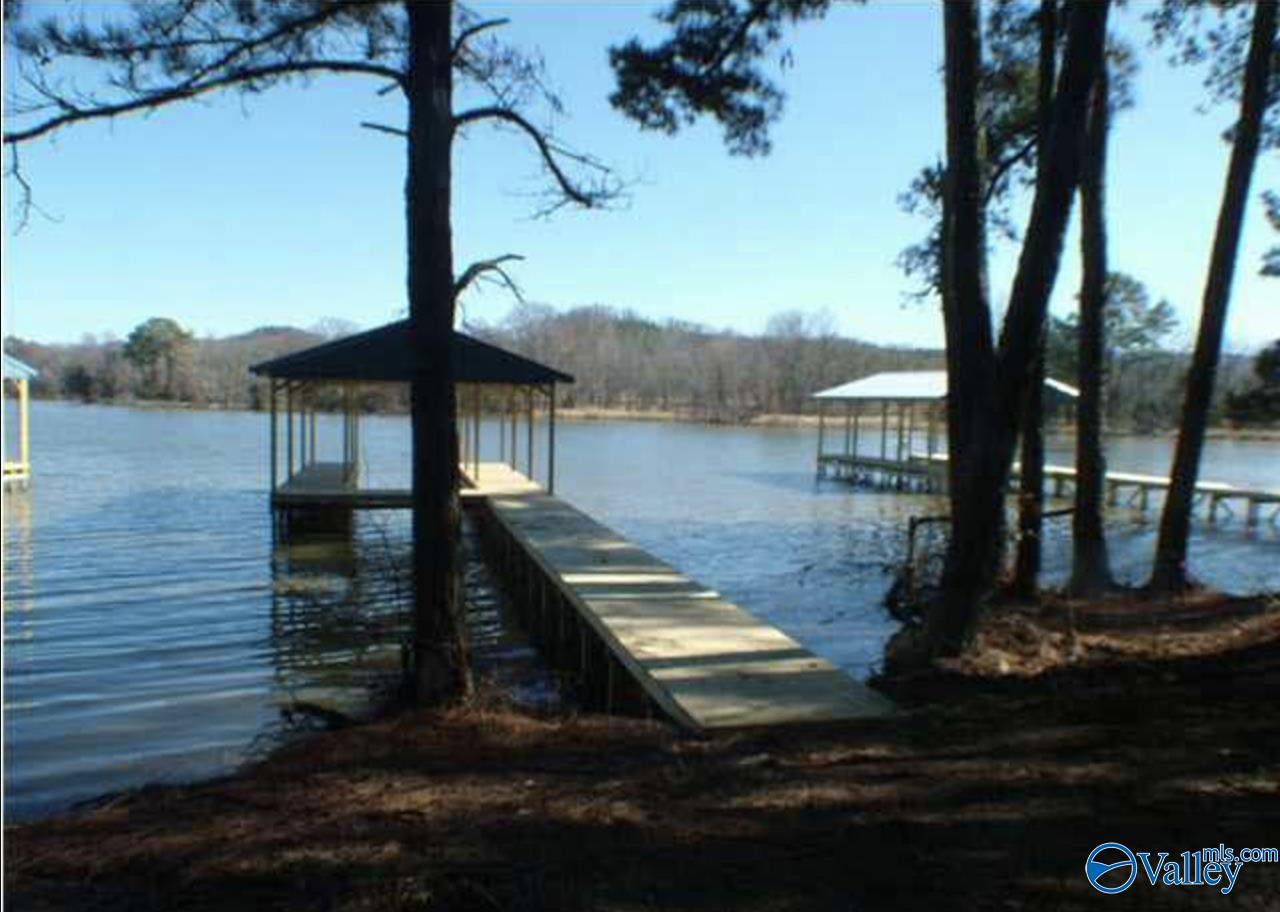 630 John Cabaniss Road, Langston, Alabama image 7