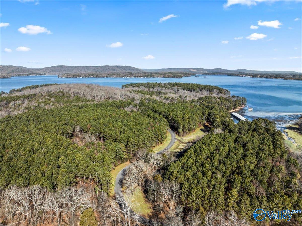 630 John Cabaniss Road, Langston, Alabama image 9
