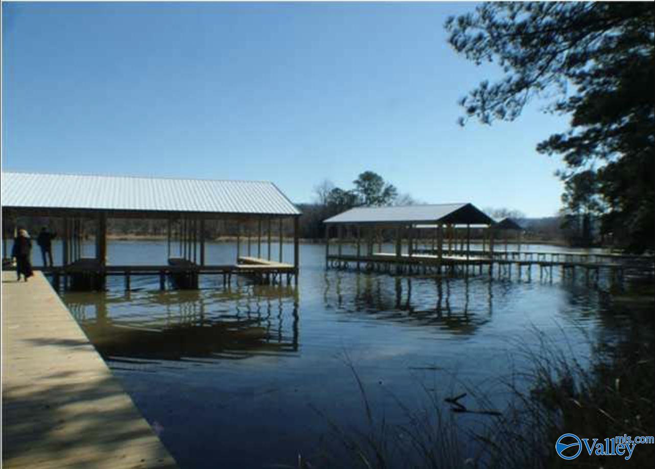 630 John Cabaniss Road, Langston, Alabama image 8