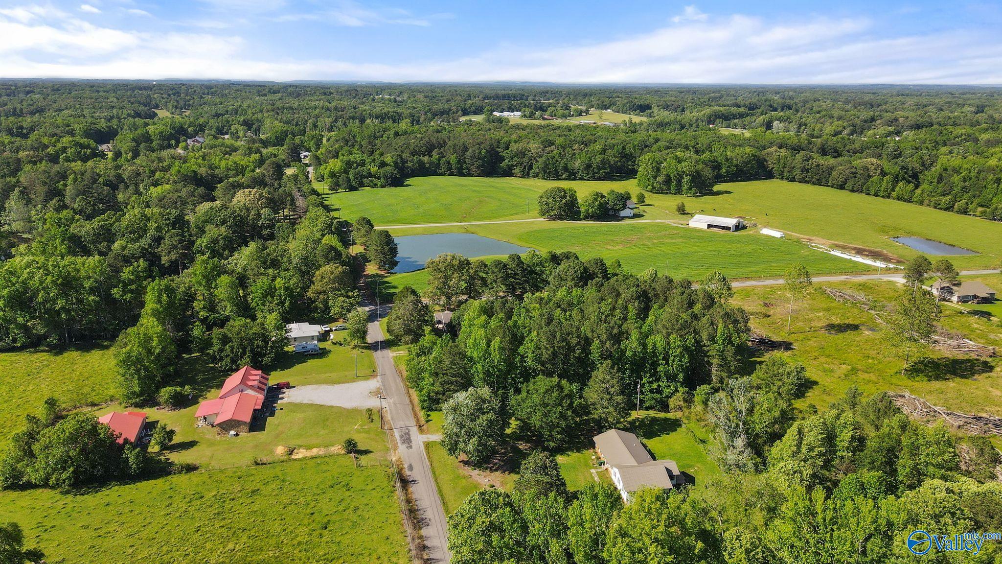411 County Road 1856, Arab, Alabama image 9