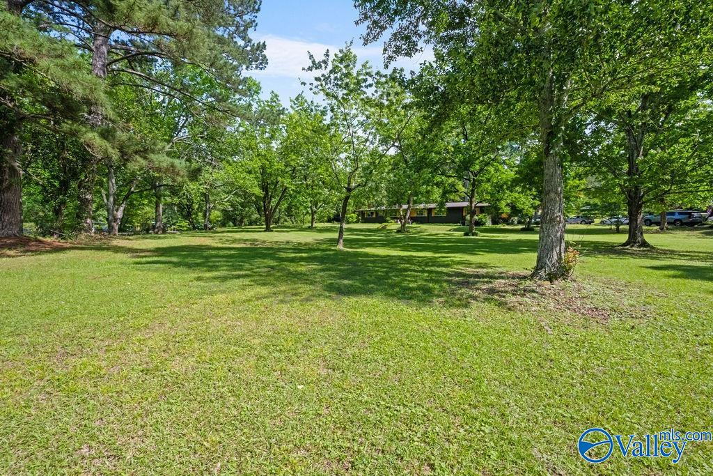 403 Forest Road, Gadsden, Alabama image 35