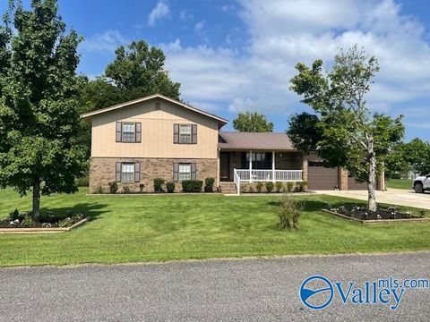 Homes For Sale - 203 Hannah Avenue<br/> Etowah County, Attalla, AL 35954