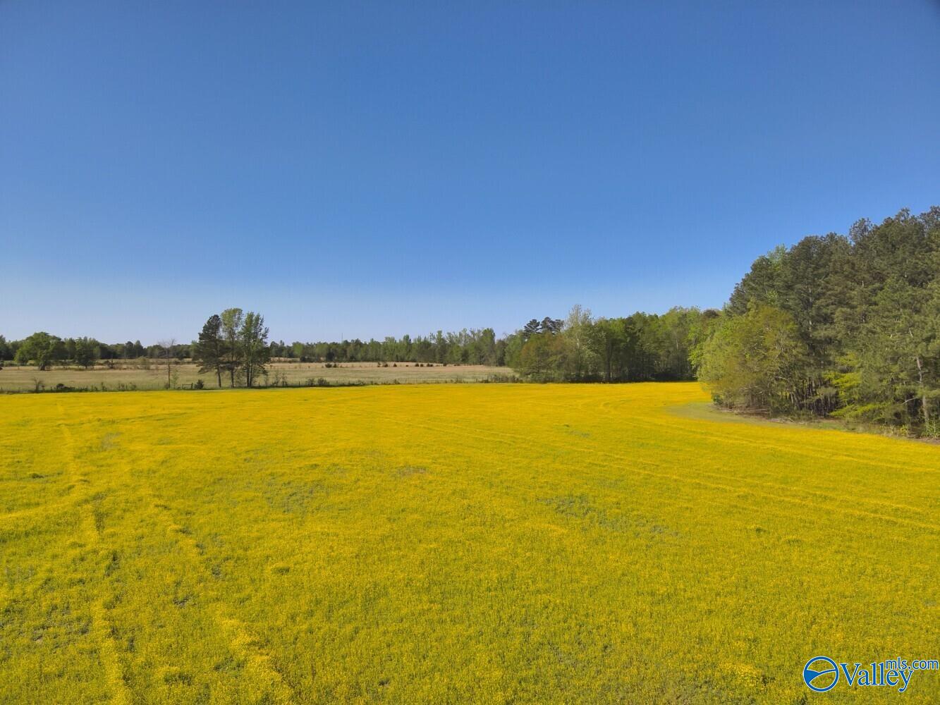 77 +/- ACRES Parker Road, Athens, Alabama image 37