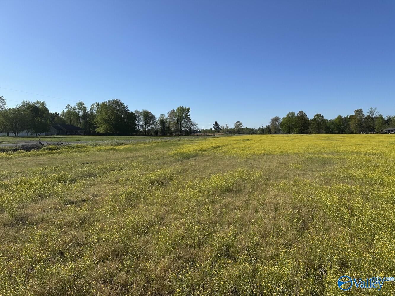 77 +/- ACRES Parker Road, Athens, Alabama image 5