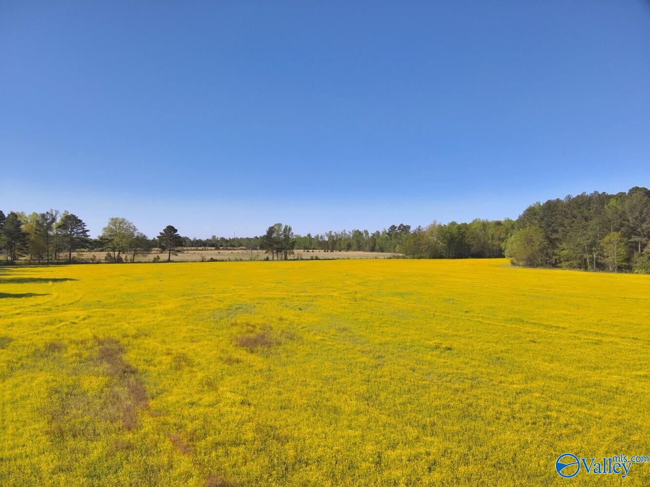 77 +/- ACRES Parker Road, Athens, Alabama image 19