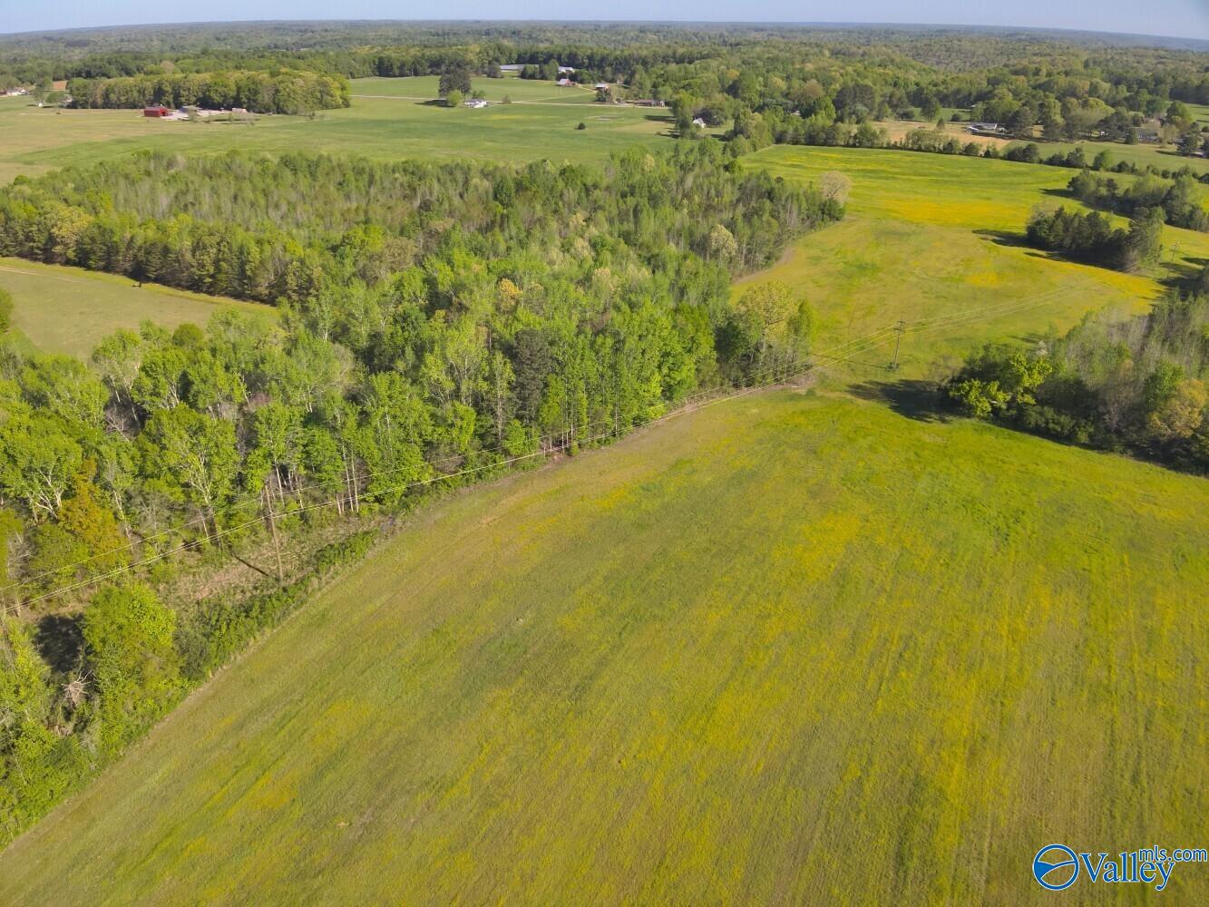 77 +/- ACRES Parker Road, Athens, Alabama image 35