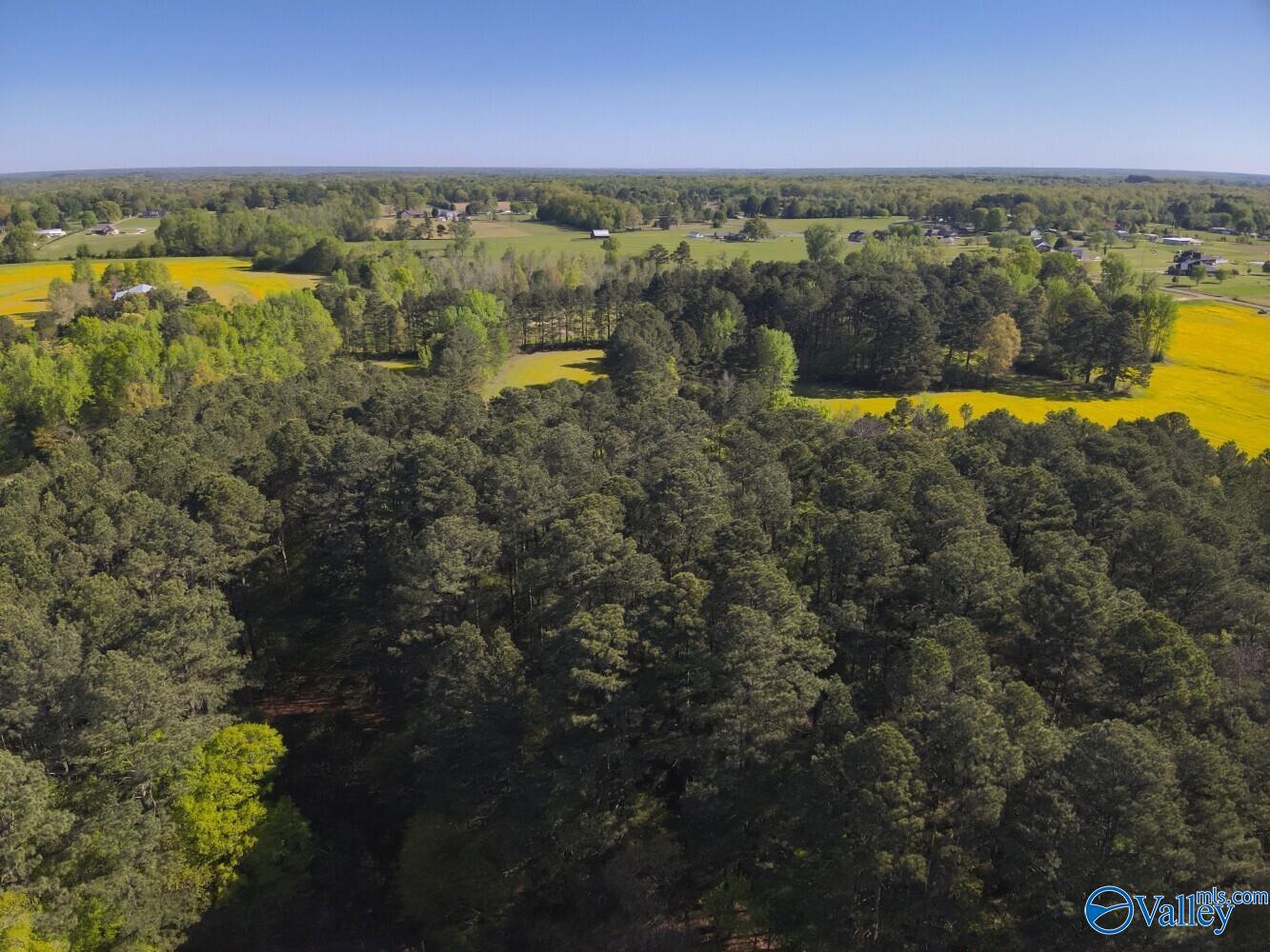 77 +/- ACRES Parker Road, Athens, Alabama image 43