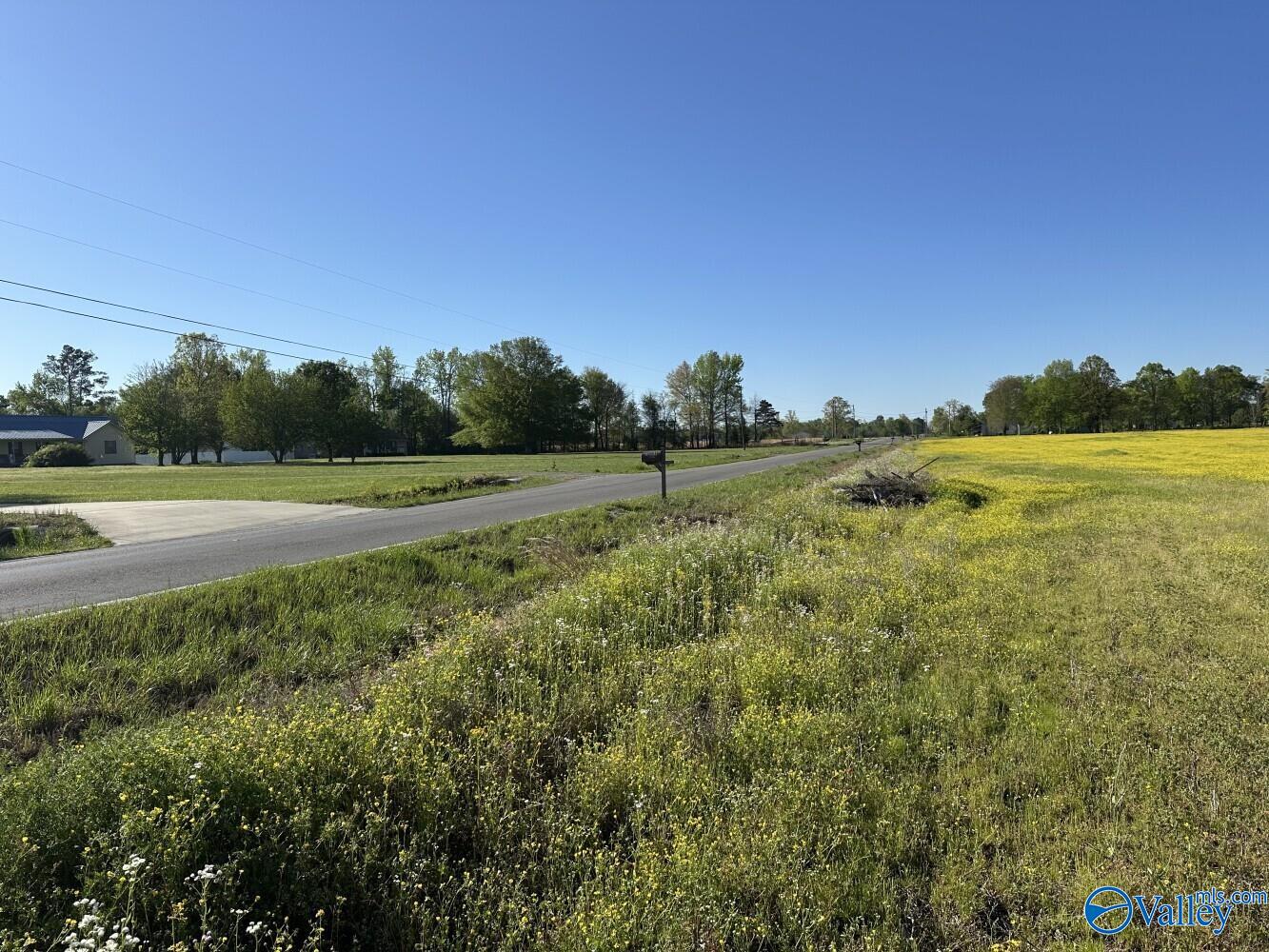 77 +/- ACRES Parker Road, Athens, Alabama image 2