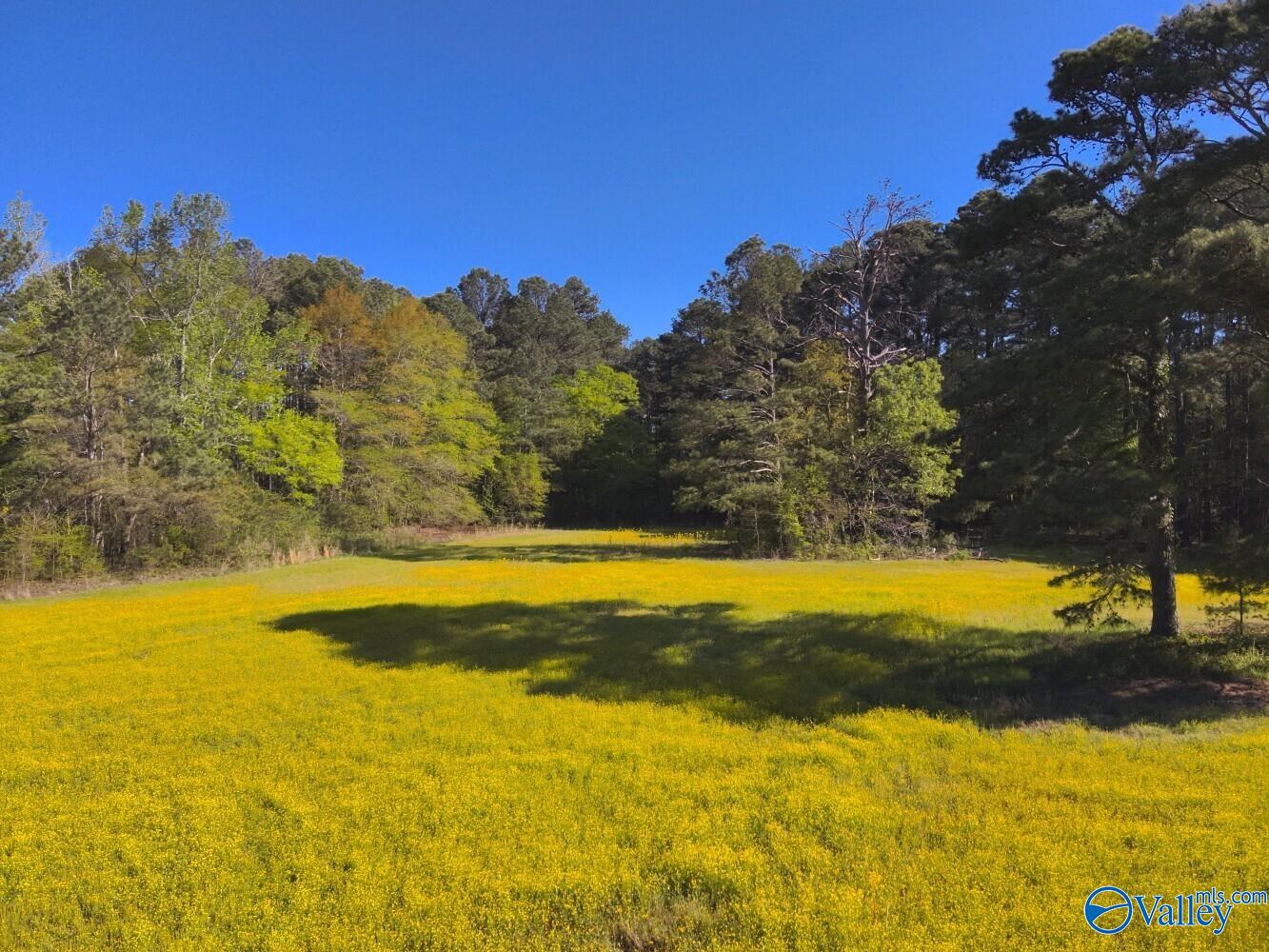 77 +/- ACRES Parker Road, Athens, Alabama image 27