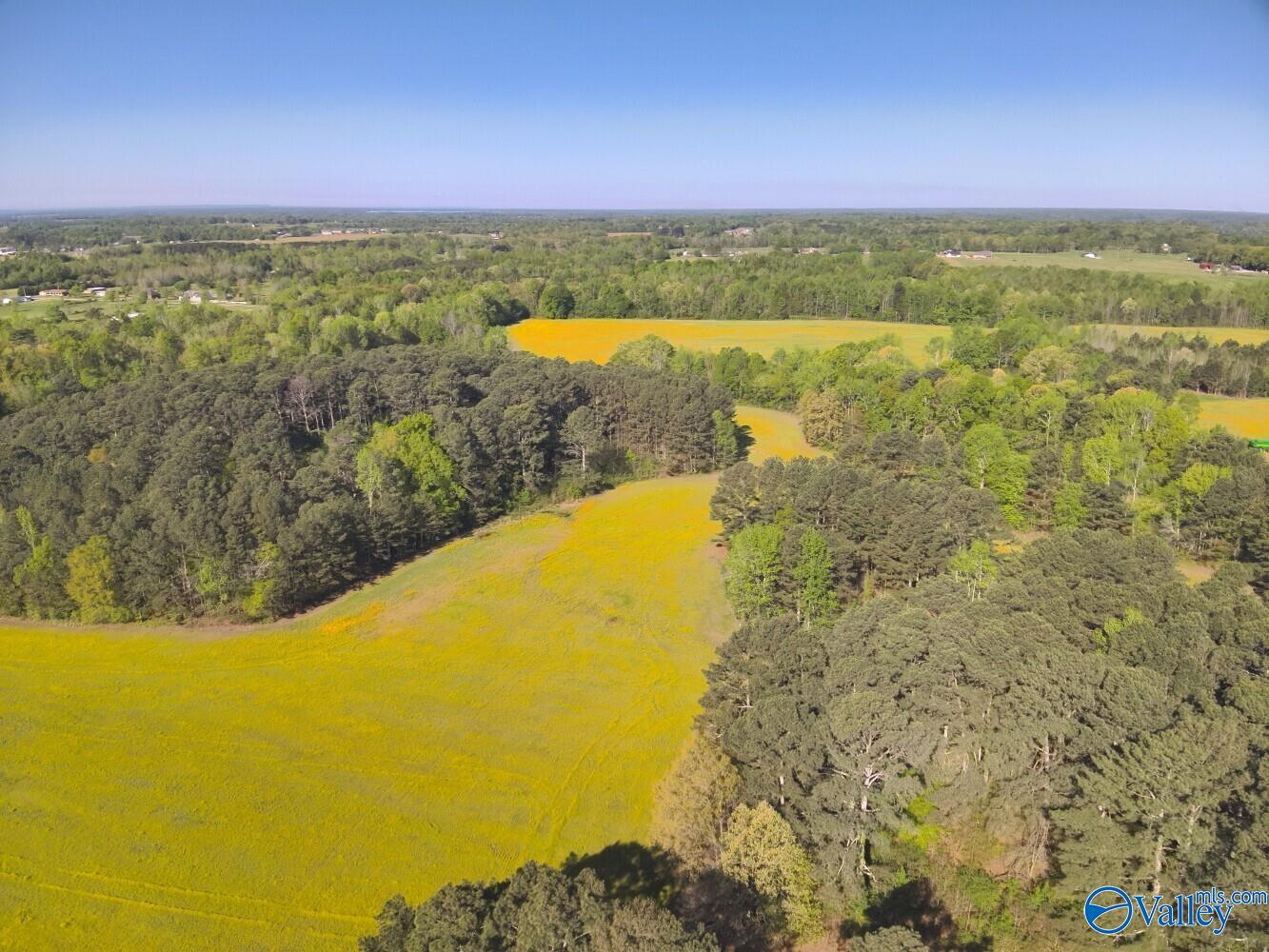 77 +/- ACRES Parker Road, Athens, Alabama image 8