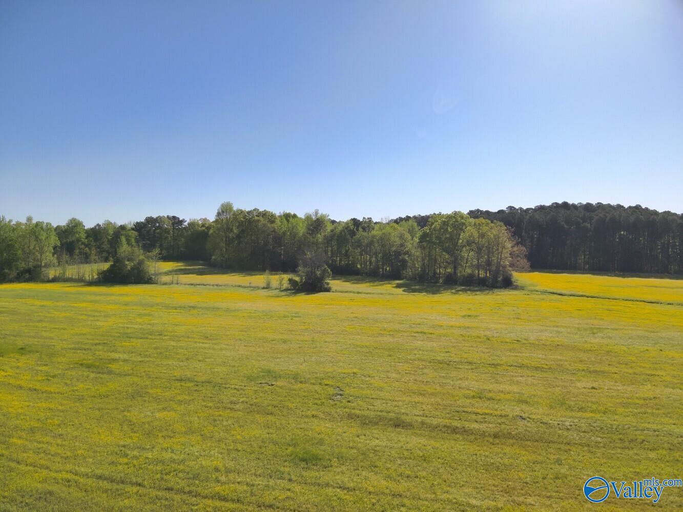 77 +/- ACRES Parker Road, Athens, Alabama image 22