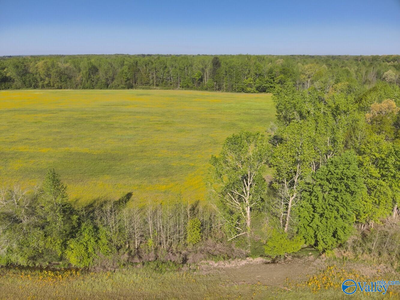 77 +/- ACRES Parker Road, Athens, Alabama image 24