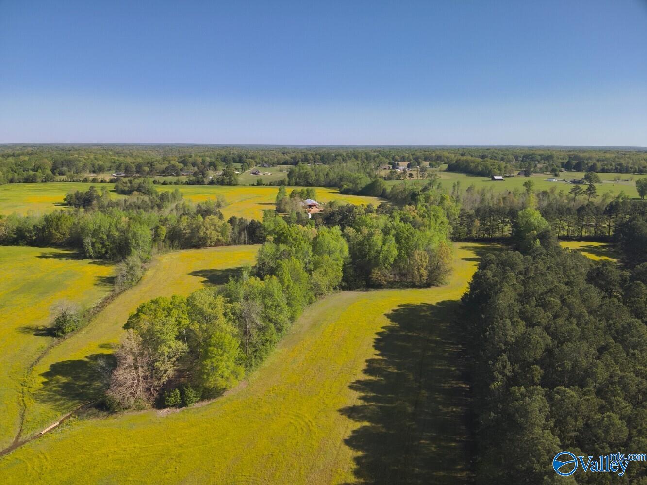 77 +/- ACRES Parker Road, Athens, Alabama image 40