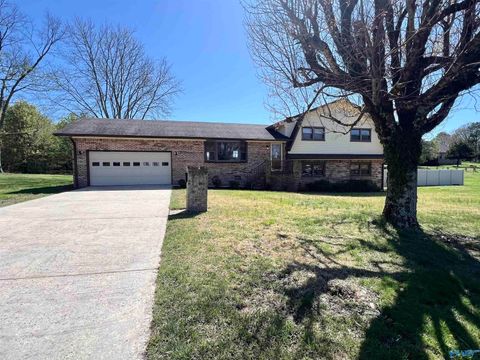 114 Davis Hill Road Grant AL 35747