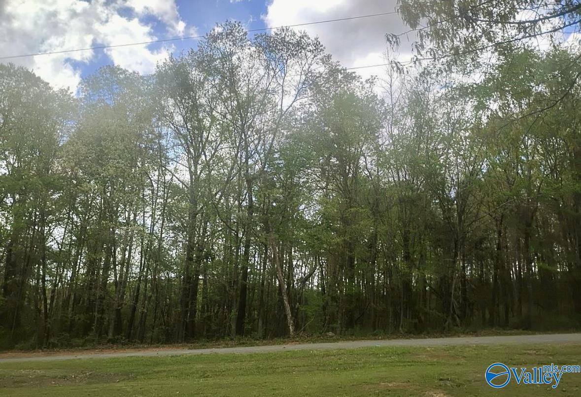 105 County Road 554, Gaylesville, Alabama image 34