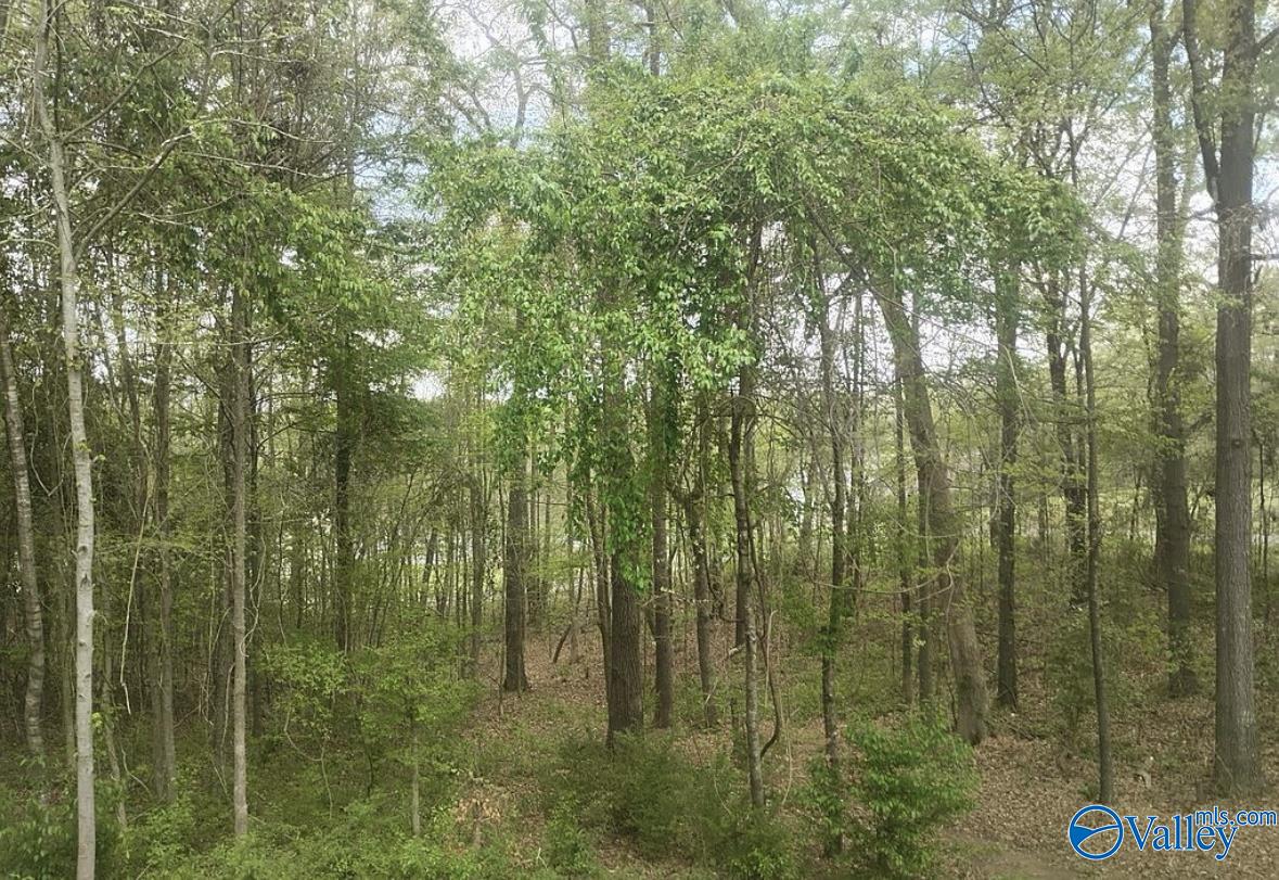 105 County Road 554, Gaylesville, Alabama image 35