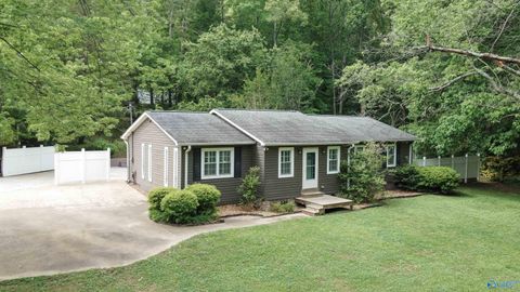 Photo of 279 Posey Road, Fort Payne, AL 35968 (MLS # 21917442)