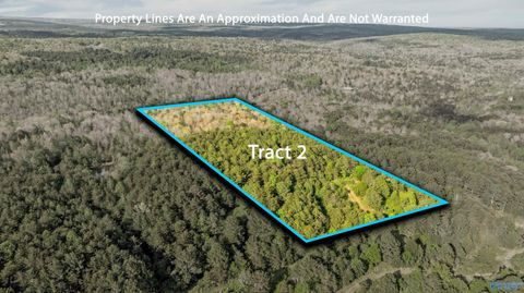 Vacant Land For Sale - TRACT 2 Road 9002<br/> Mentone, AL 35984