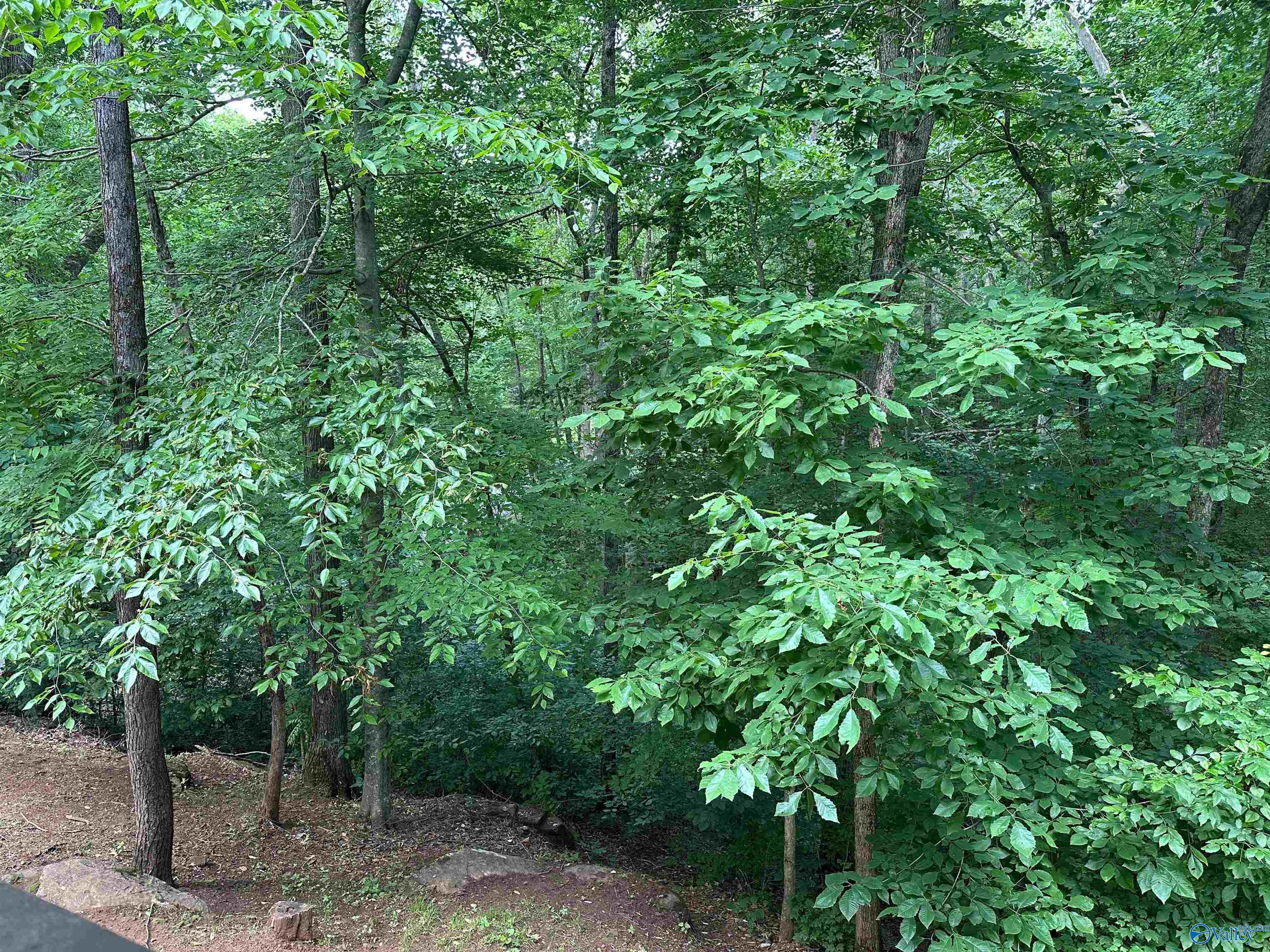 198 NW Dogwood Circle, Fort Payne, Alabama image 40
