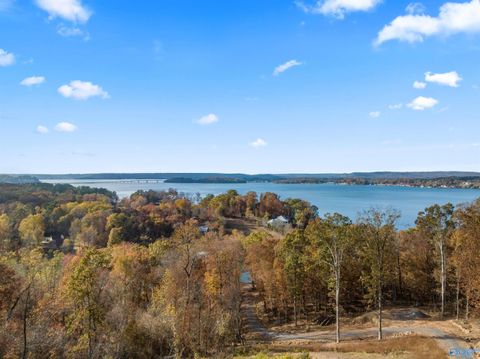 Vacant Land For Sale - 6.48 ACRES Signal Point Road<br/> Guntersville, AL 35976
