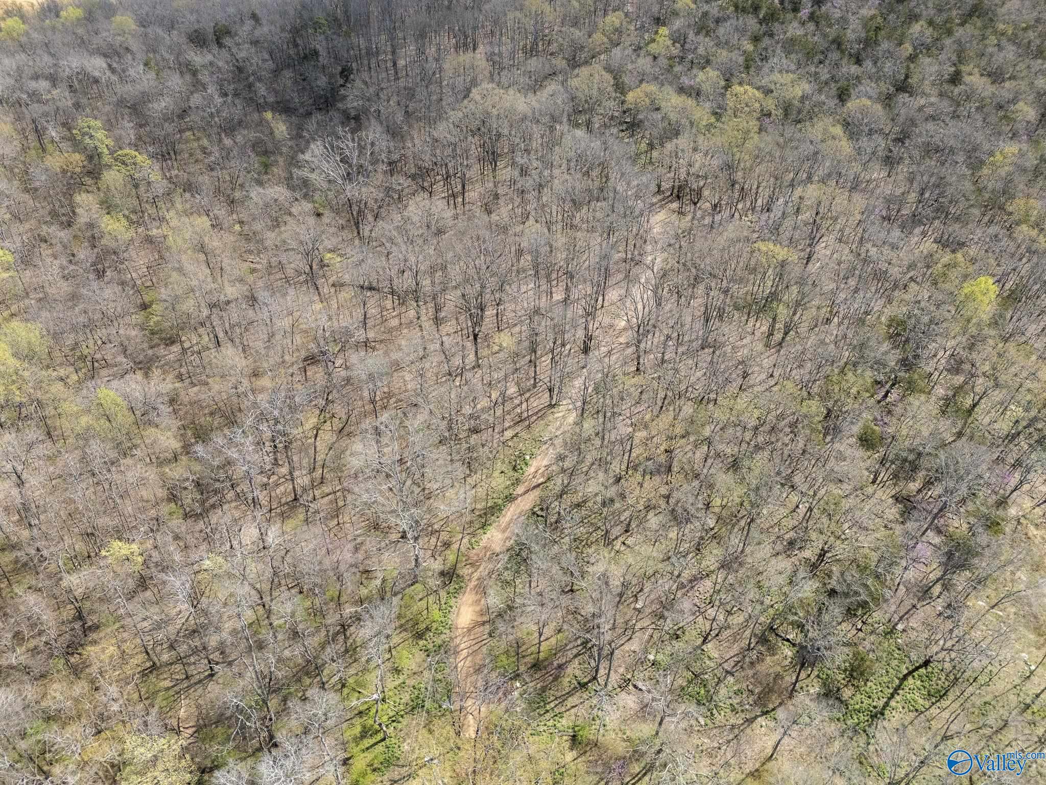 8059 Wall Triana Hwy, Harvest, Alabama image 11