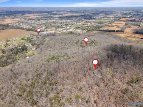 Vacant Land For Sale - 8059 Wall Triana Hwy<br/> Harvest, AL 35749