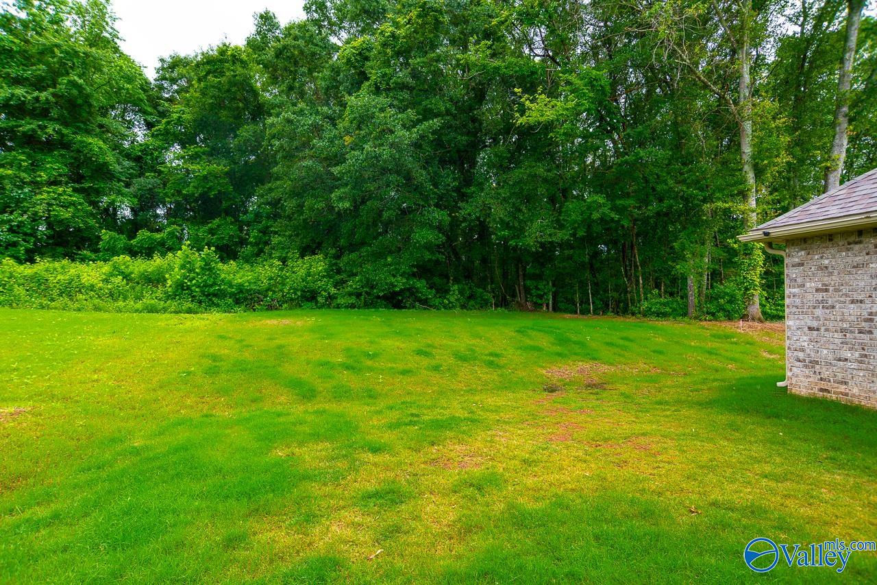 154 Midpark Drive, Meridianville, Alabama image 27