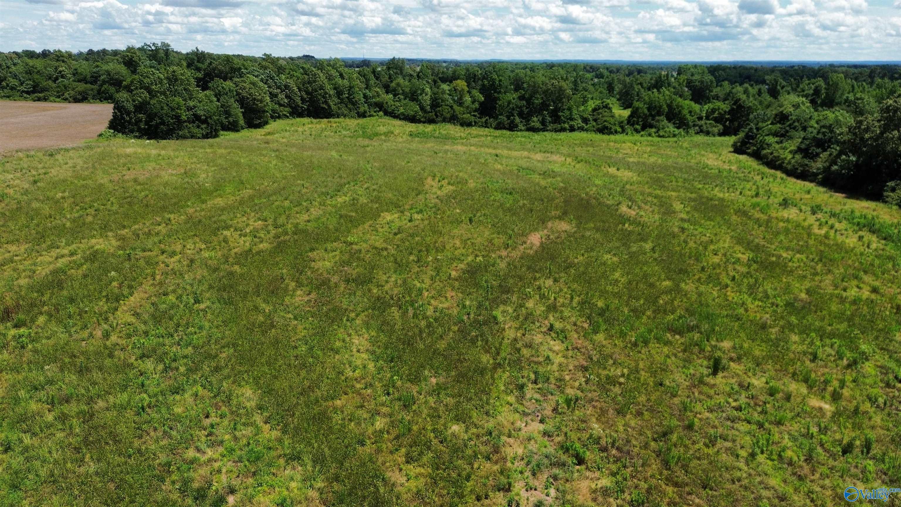 19 Acres Highway 72, Athens, Alabama image 3