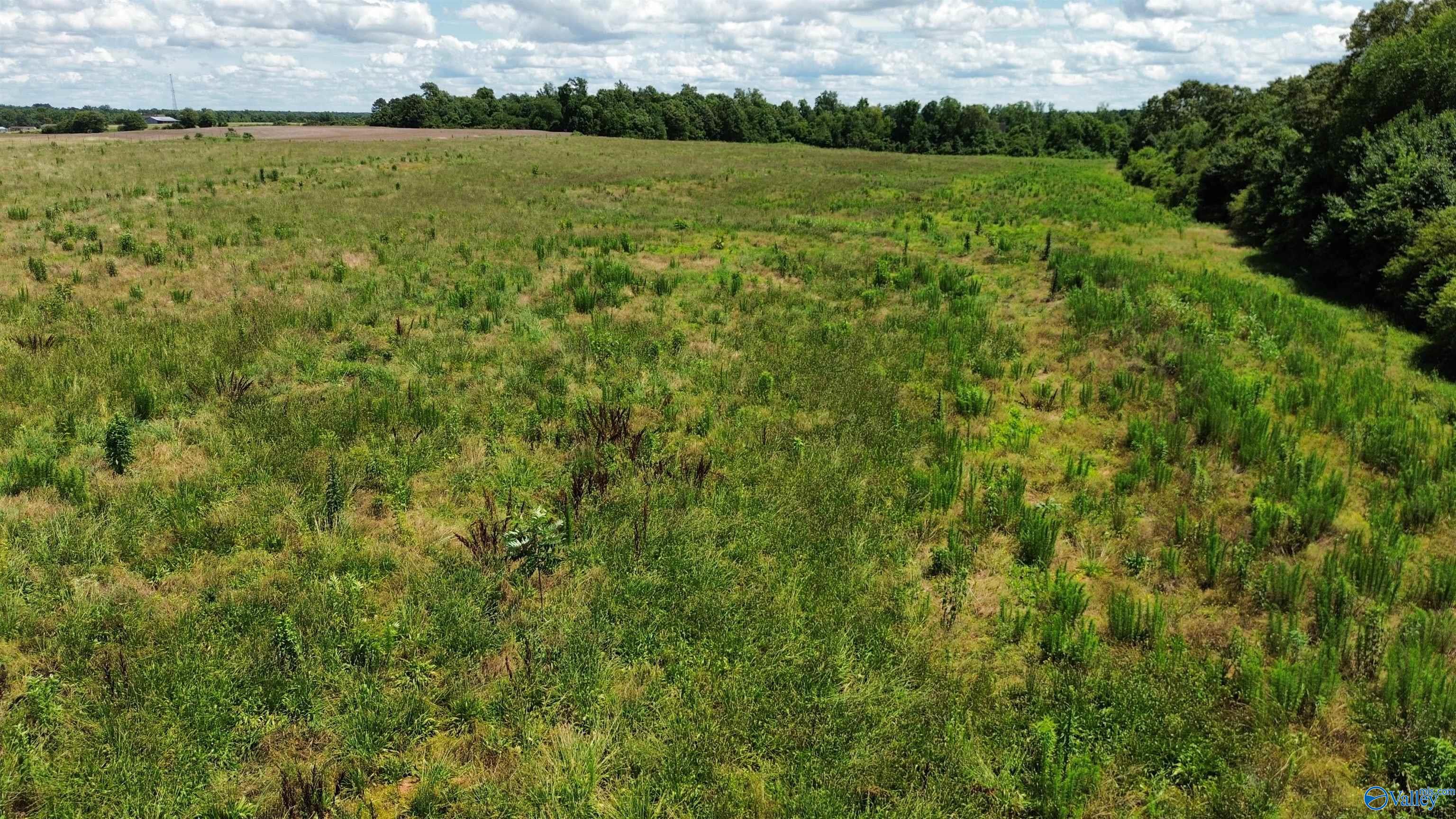 19 Acres Highway 72, Athens, Alabama image 6