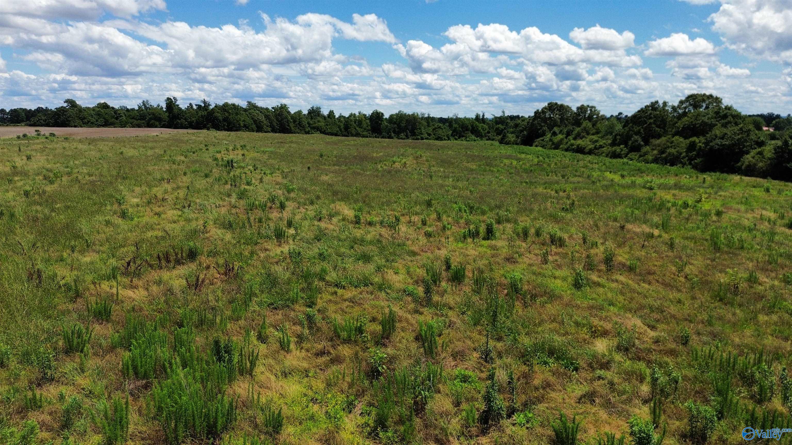 19 Acres Highway 72, Athens, Alabama image 5