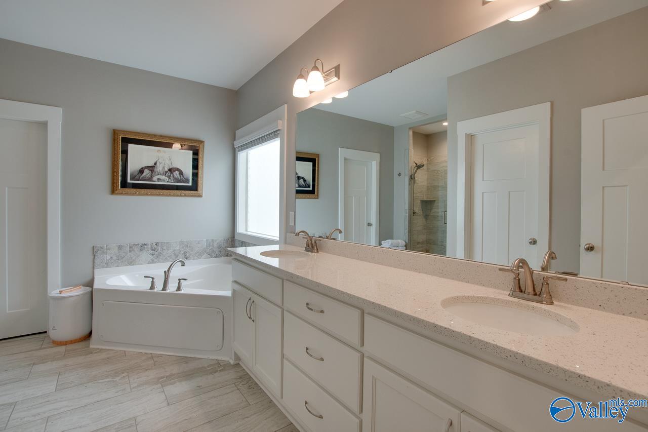 4417 Lake Willow Blvd, Owens Cross Roads, Alabama image 23