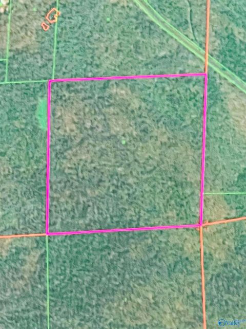 Vacant Land For Sale - 40 ACRES Cherry Tree Road<br/> Gurley, AL 35748