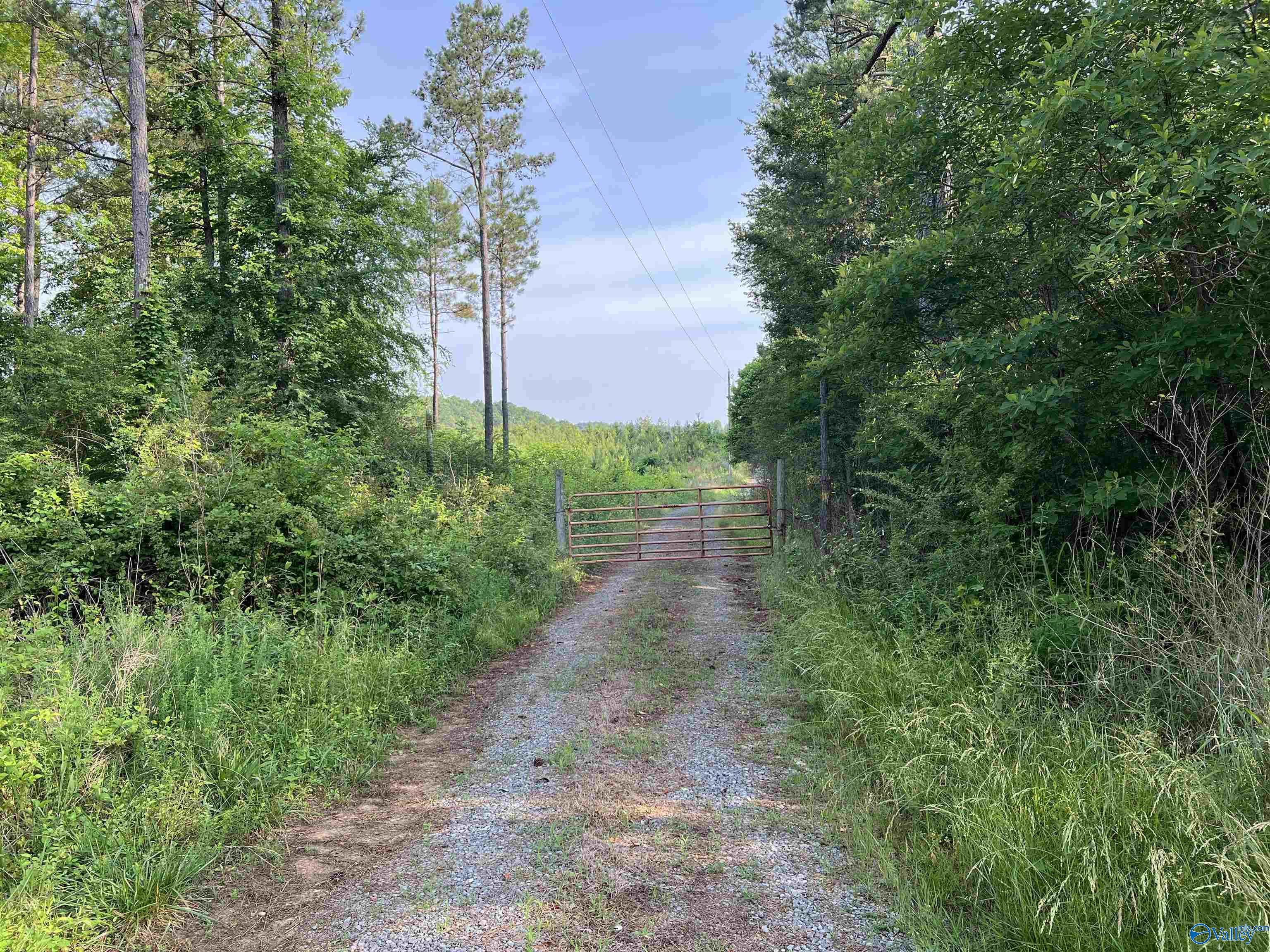 +/-67 Acres County Road 635, Gaylesville, Alabama image 1