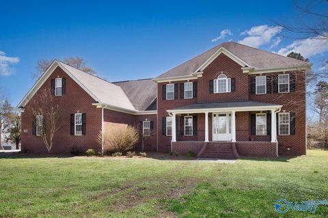 Photo of 1485 Thompson Falls Road, Guntersville, AL 35976 (MLS # 21909942)