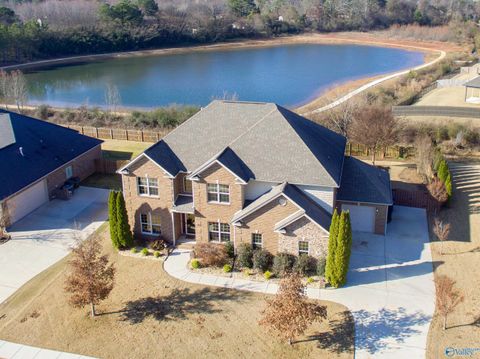 Photo of 227 Nettles Drive NW, Madison, AL 35757 (MLS # 21905462)