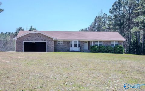 Photo of 514 Curry Chapel Road, Somerville, AL 35670 (MLS # 21913511)
