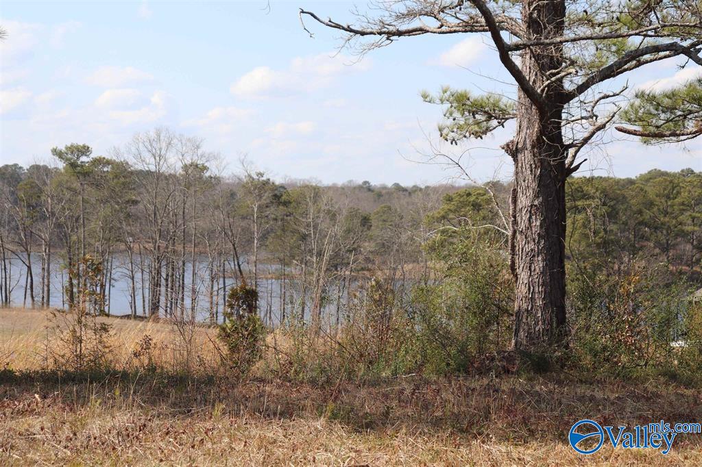 9 AC County Road 1464, Cullman, Alabama image 5