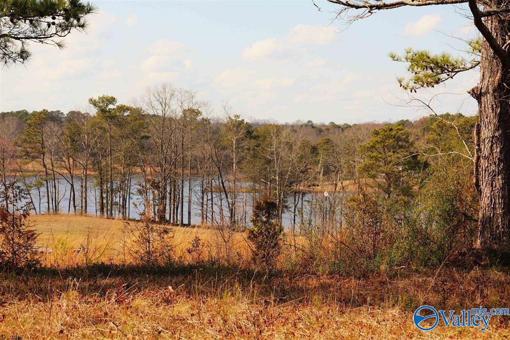 9 AC County Road 1464, Cullman, Alabama image 6