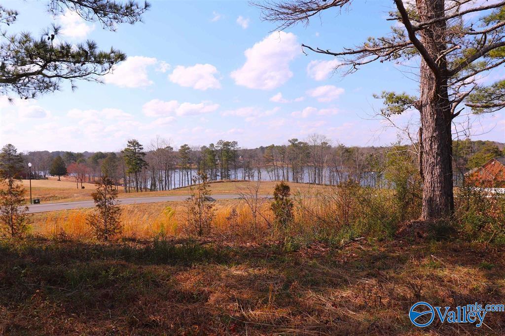 9 AC County Road 1464, Cullman, Alabama image 2