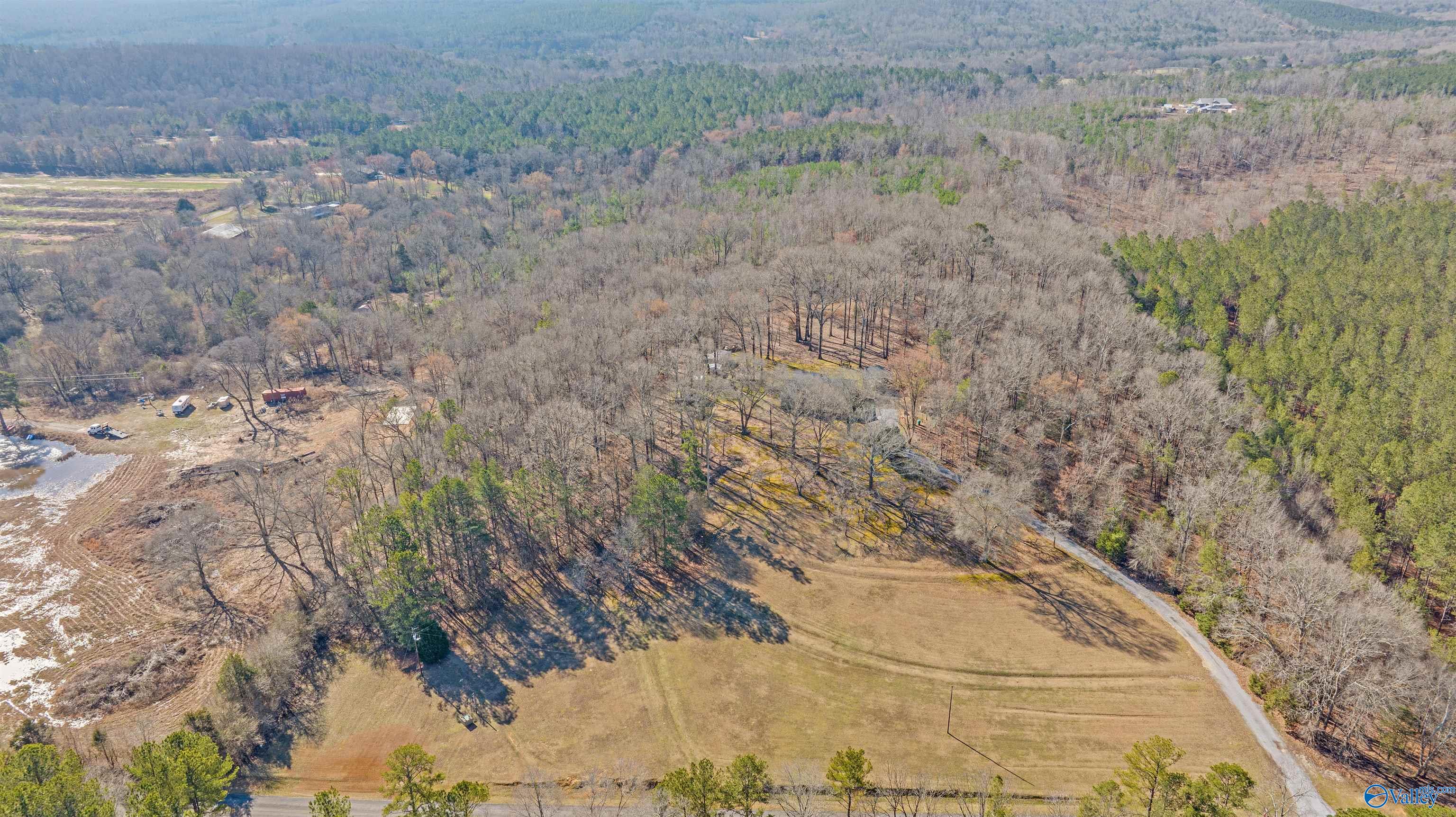 13 Acres County Road 174, Piedmont, Alabama image 3