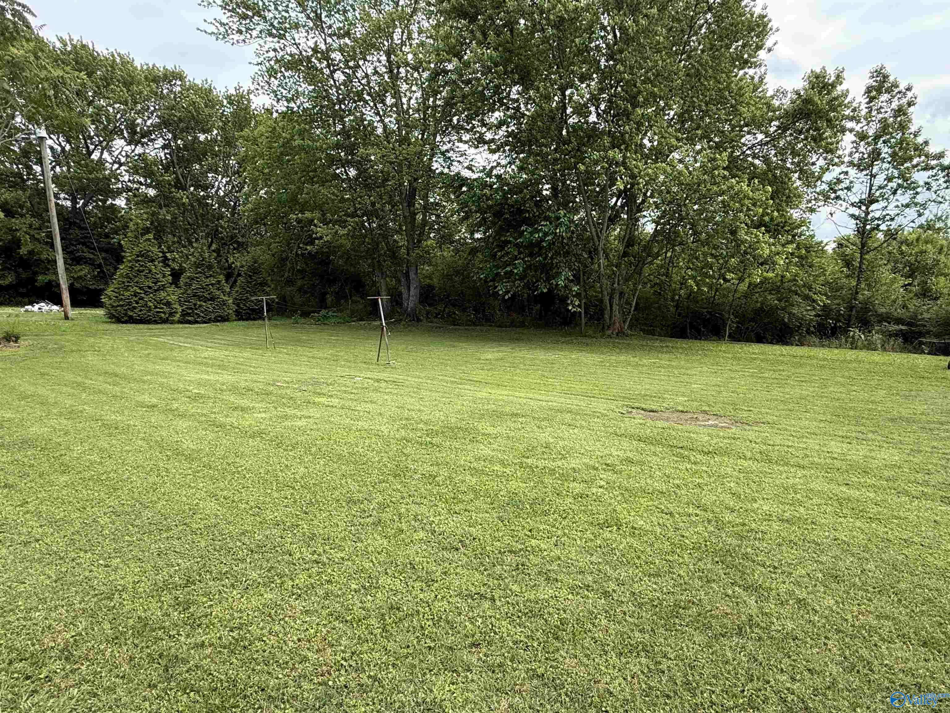 4094 County Road 66, Section, Alabama image 9