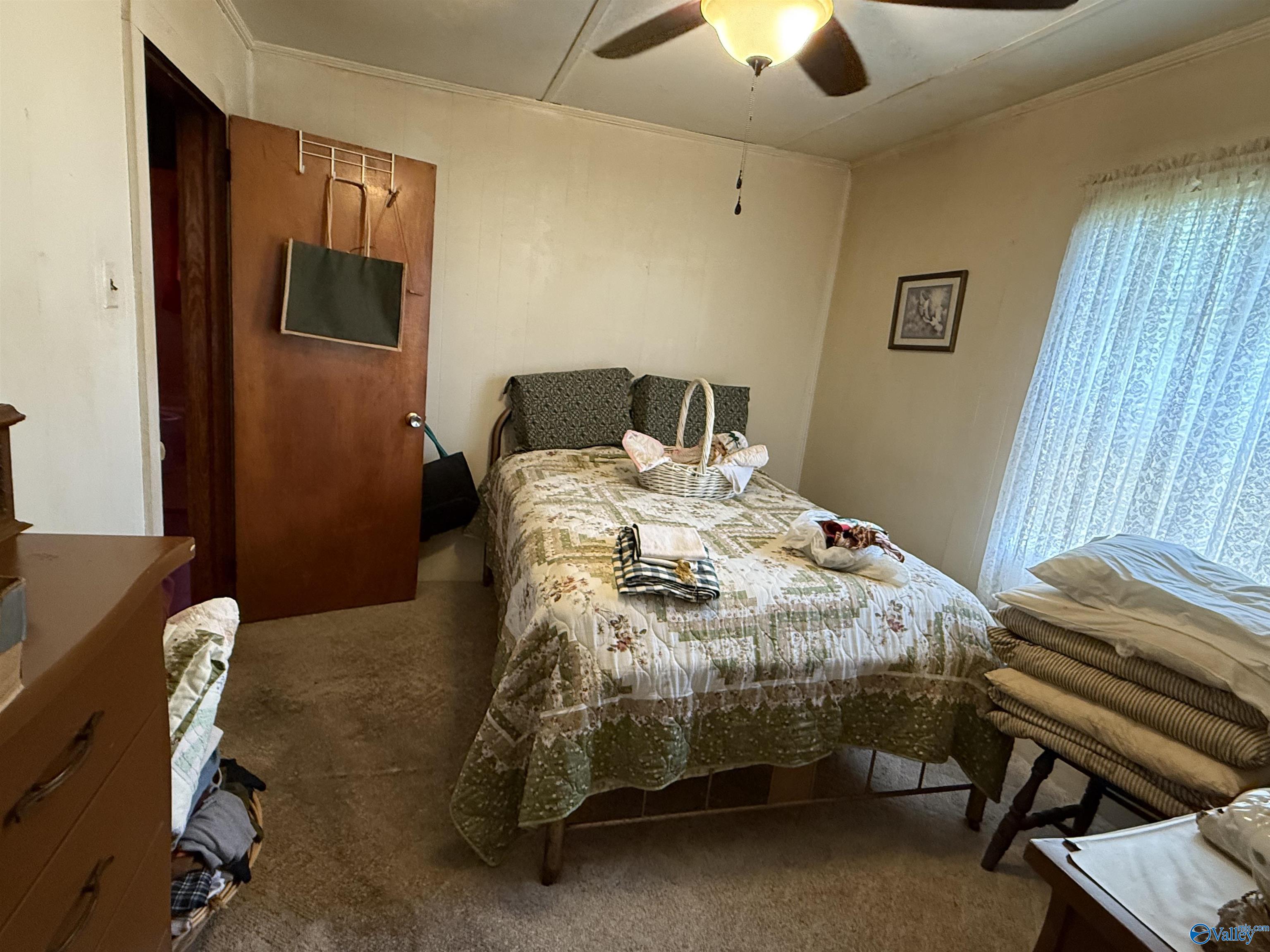4094 County Road 66, Section, Alabama image 20