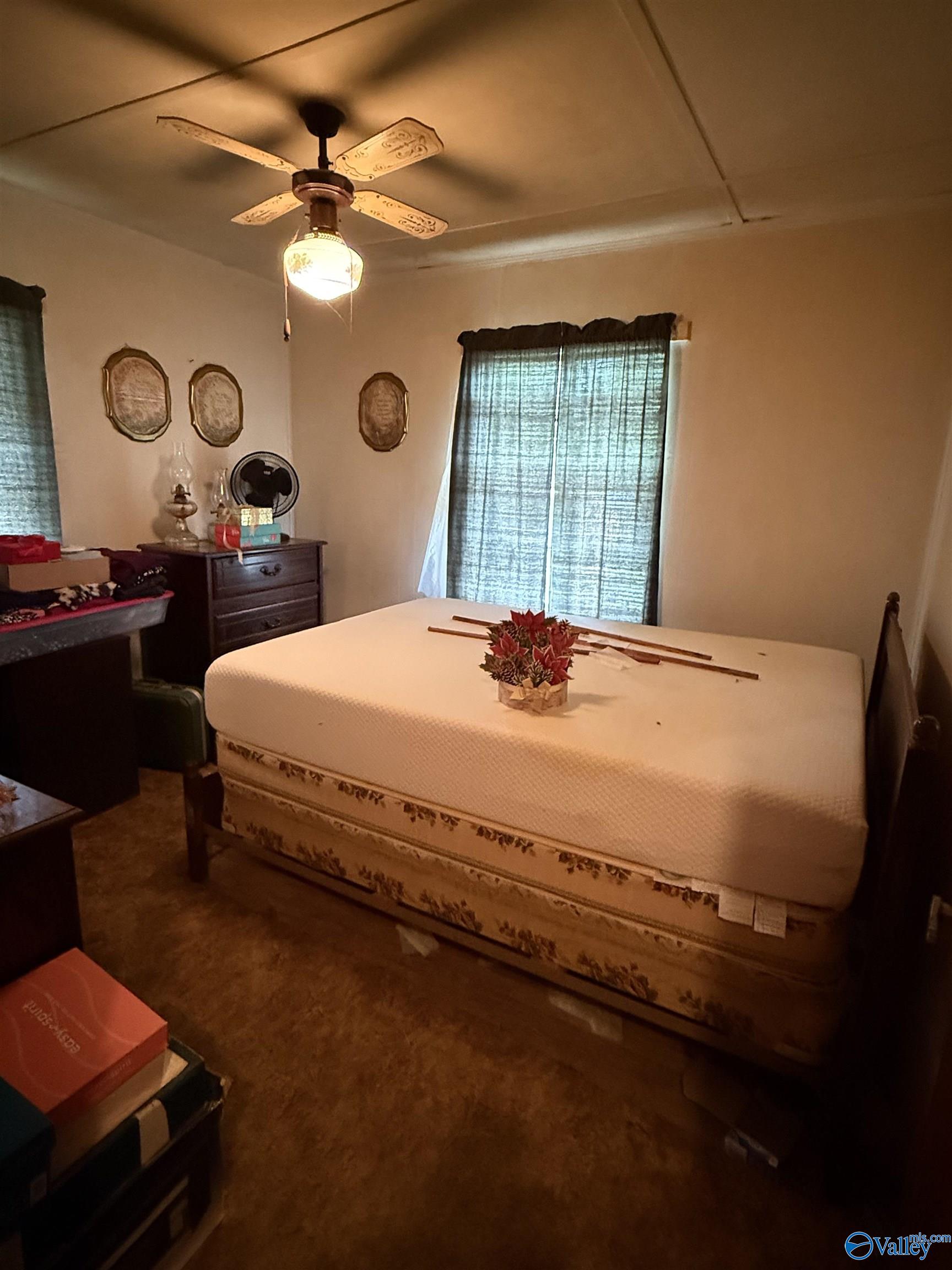 4094 County Road 66, Section, Alabama image 22