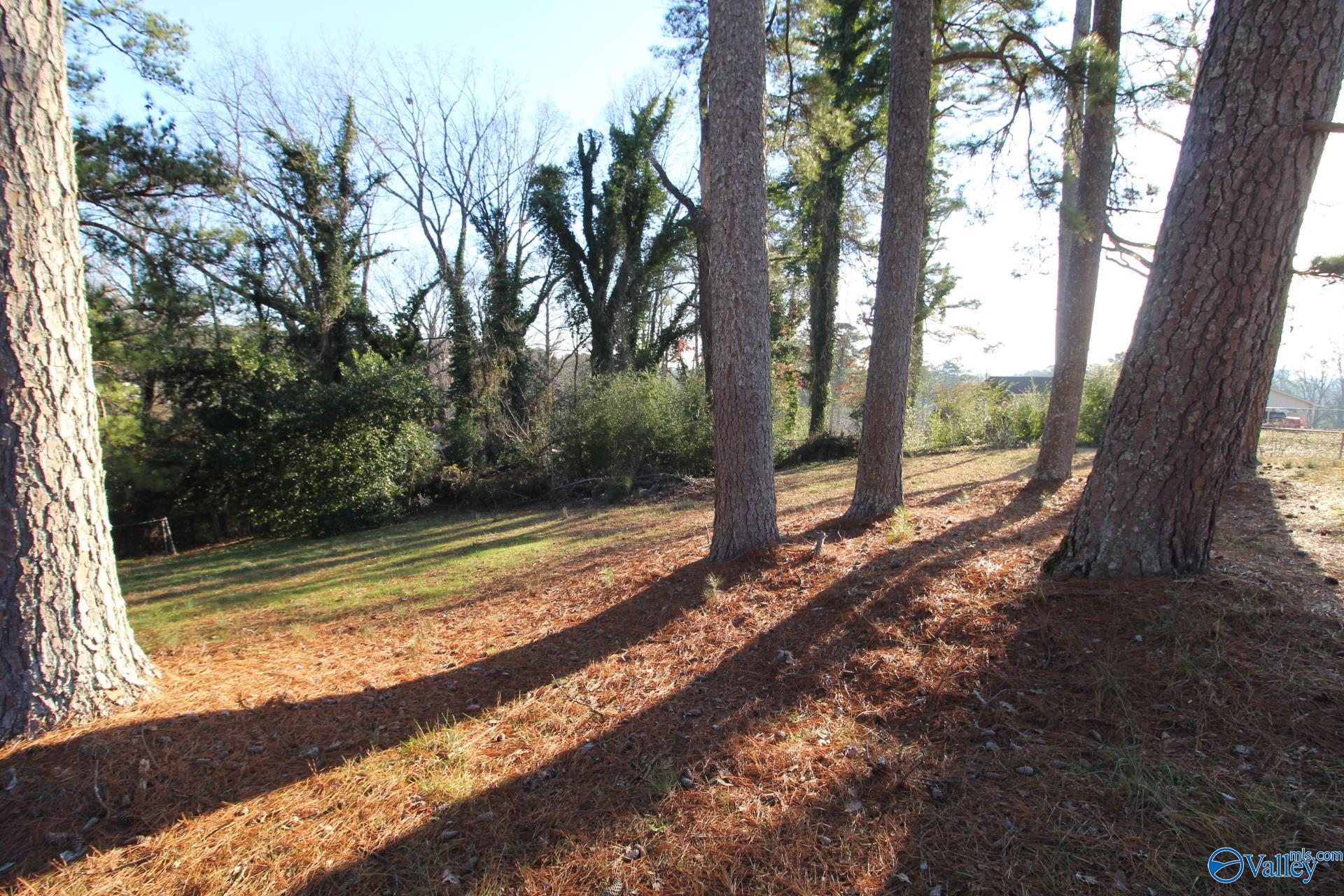 1546 Ridge Street, Cullman, Alabama image 14