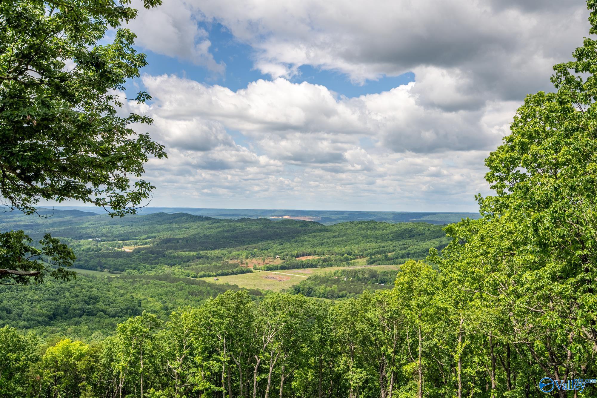 396 Road 1980, Fort Payne, Alabama image 25