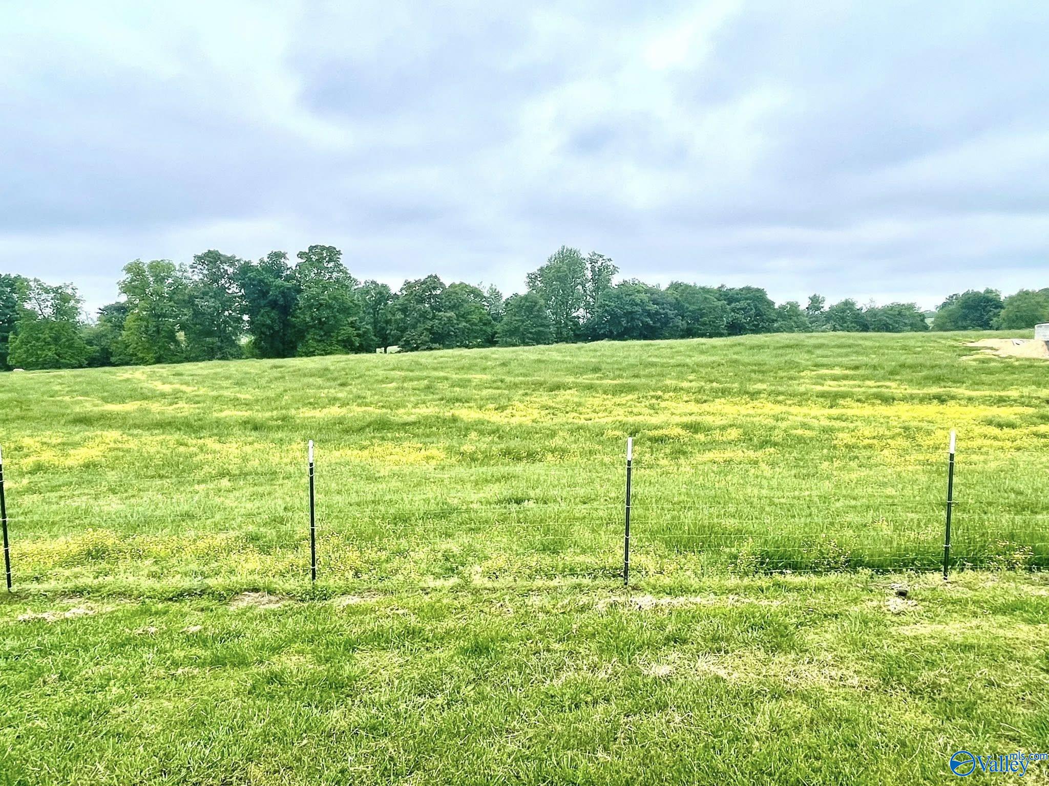 2855 County Road 3, Crossville, Alabama image 37