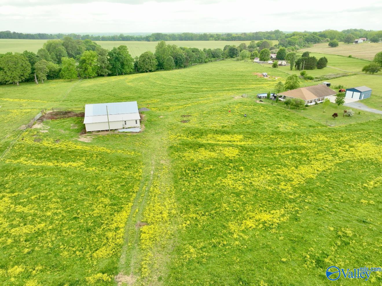 2855 County Road 3, Crossville, Alabama image 45