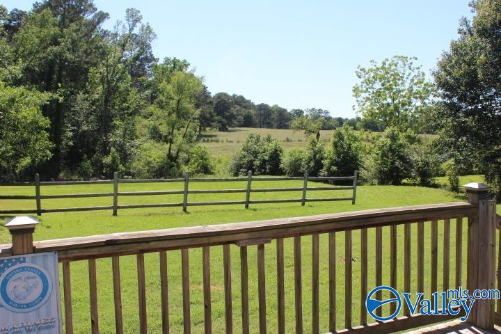 1488 County Road 446, Fort Payne, Alabama image 4