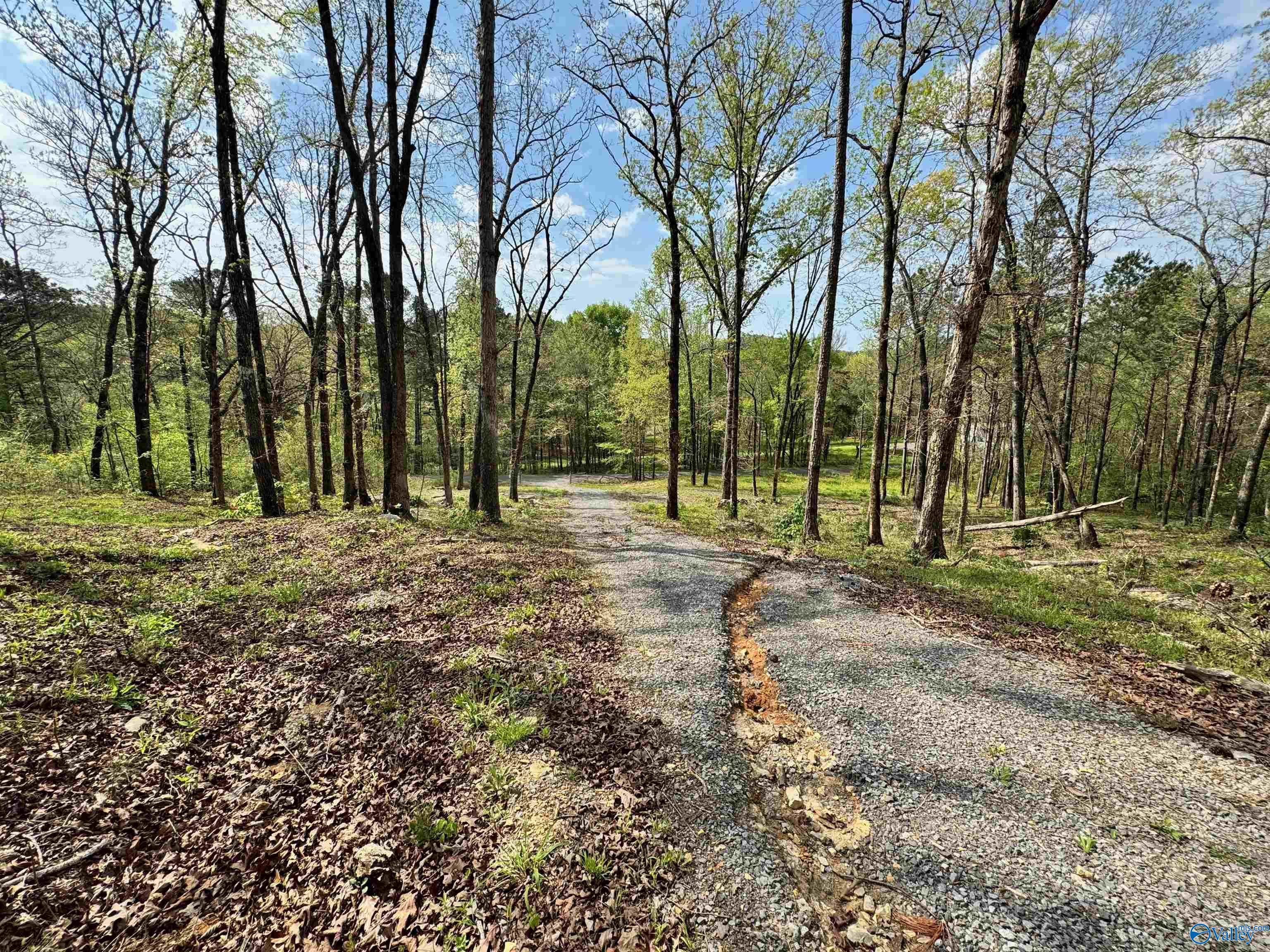 405 Stewart Hollow Road, Grant, Alabama image 21